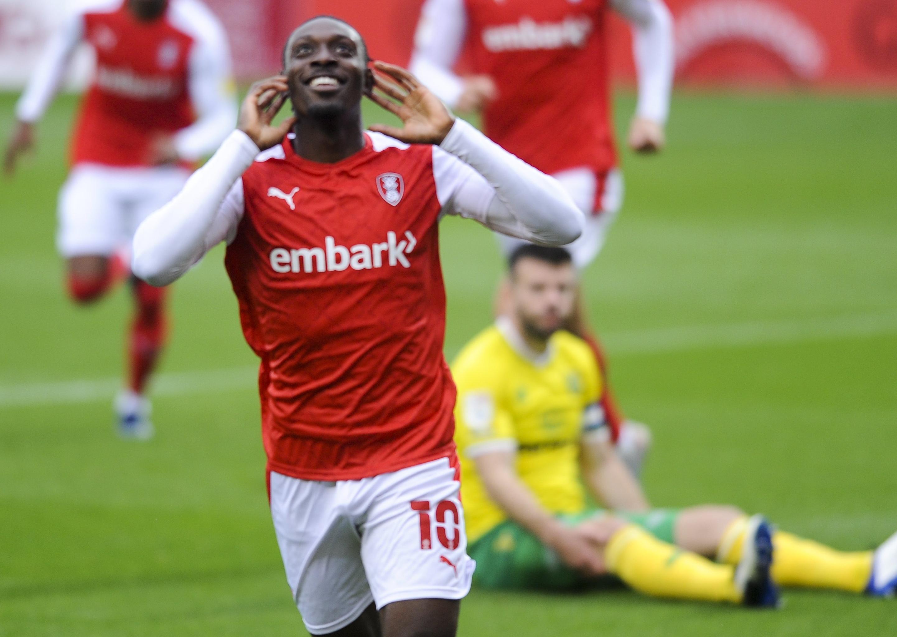 Rotherham United are architects of their own downfall Rotherham United are architects of their own downfall