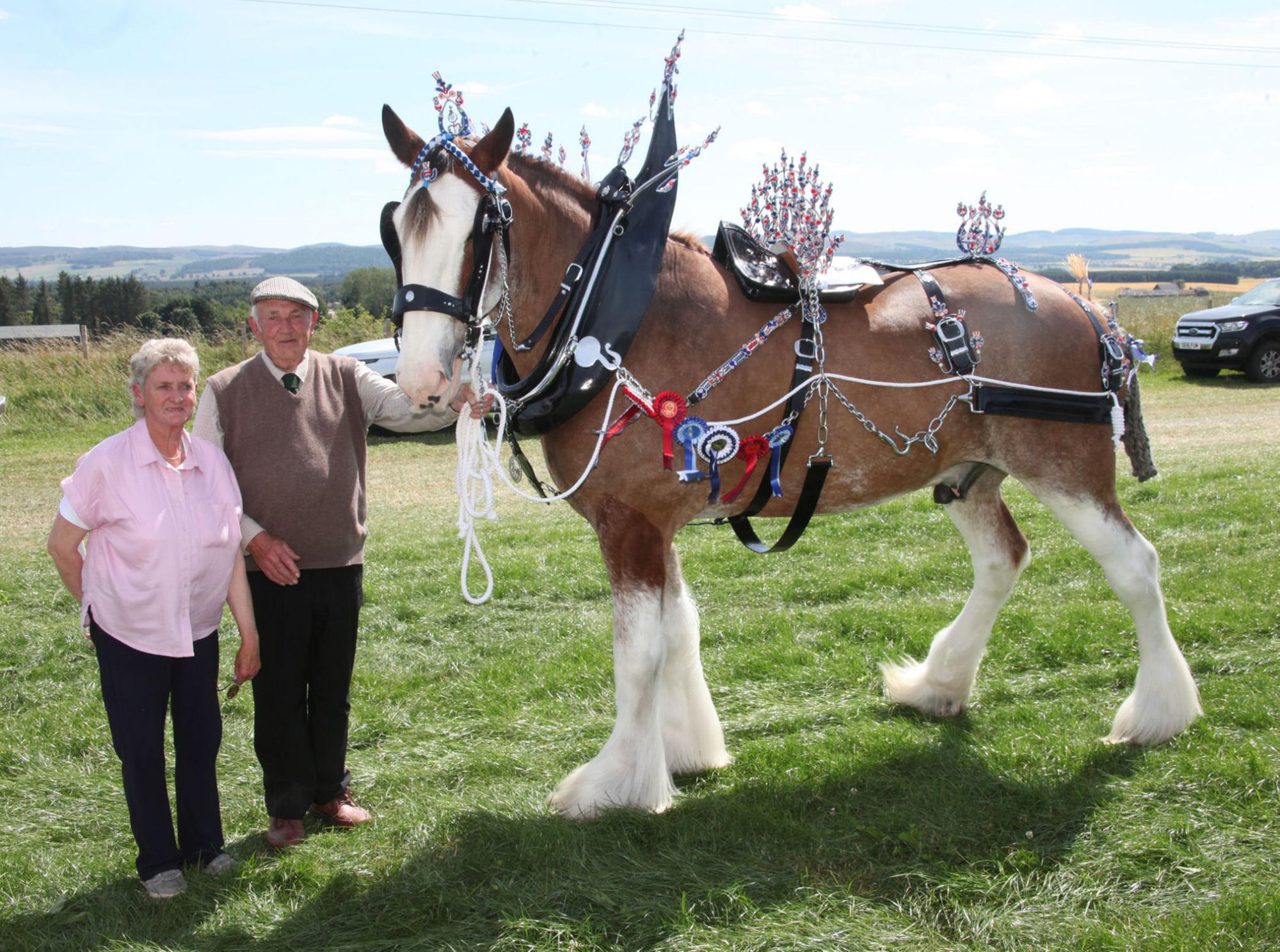 SACP-21-07-22-Champion overall Clydesdale-SCO.jpg