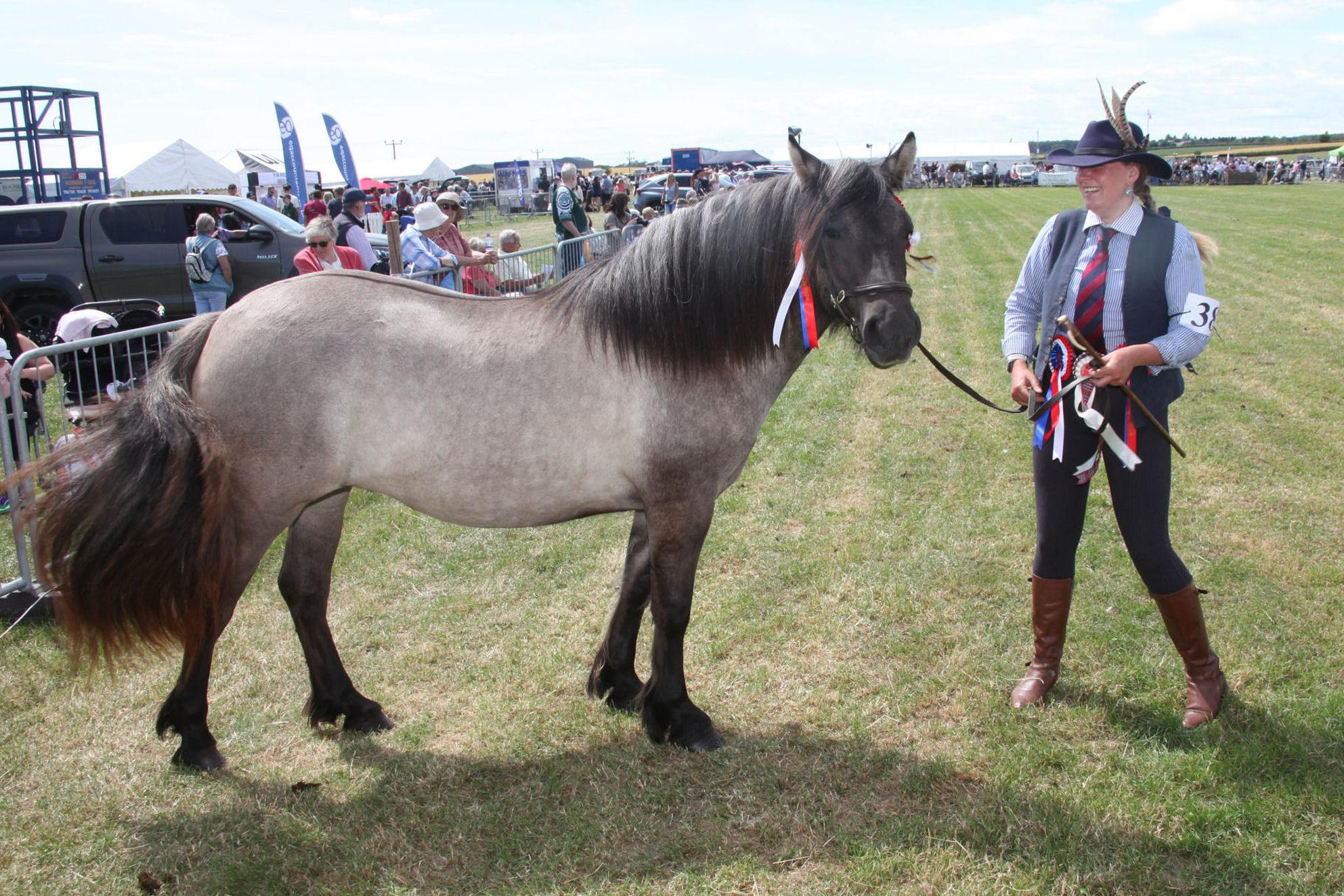 SACP-21-07-22-Kirriemuir Show Champion Highland Lighthorse-SCO.jpg